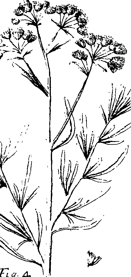 110/110220030301080_2.png