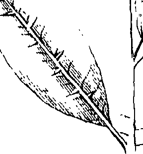 110/110220030301100_0.png