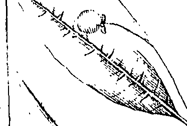 110/110220030301100_1.png