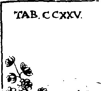 110/110220030301100_2.png