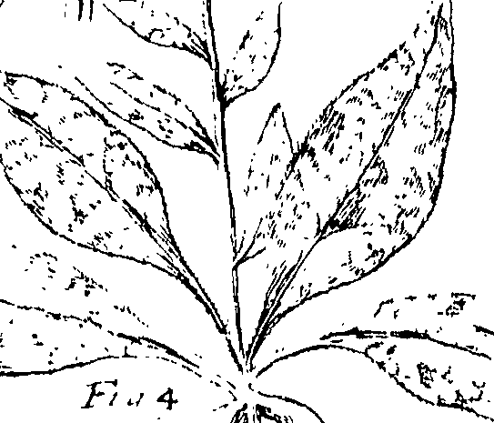 110/110220030301120_0.png
