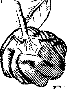 110/110220030301120_1.png