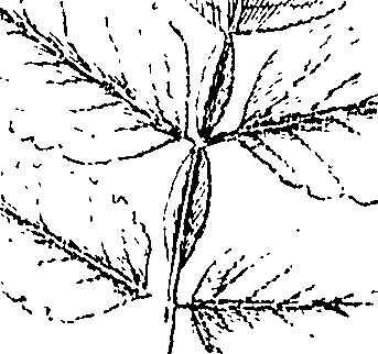 110/110220030301130_0.png