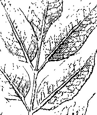 110/110220030301130_1.png