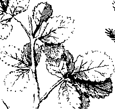 110/110220030301130_2.png