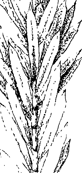 110/110220030301140_0.png