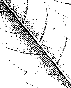 110/110220030301220_0.png