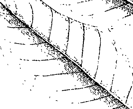 110/110220030301220_1.png