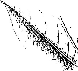 110/110220030301230_0.png