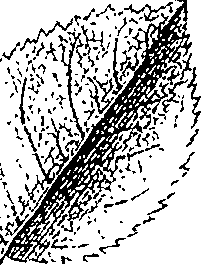 110/110220030301230_1.png