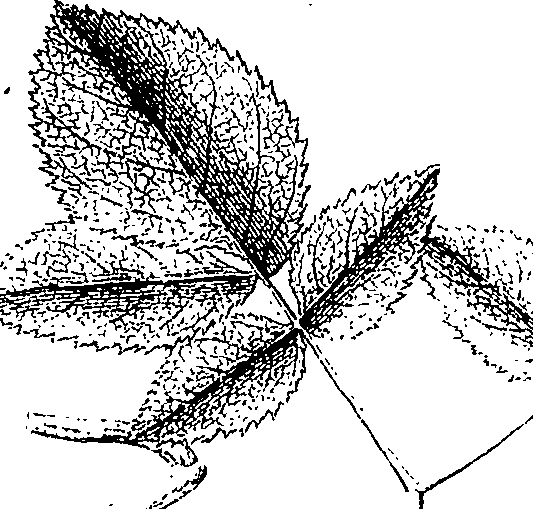 110/110220030301230_2.png