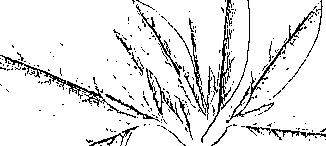 110/110220030301240_0.png