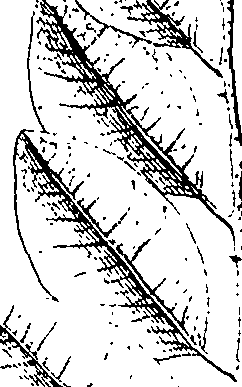 110/110220030301240_2.png