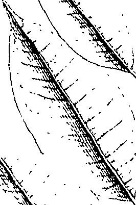 110/110220030301240_3.png