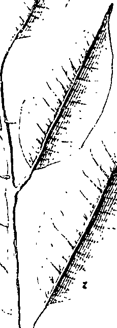 110/110220030301240_4.png