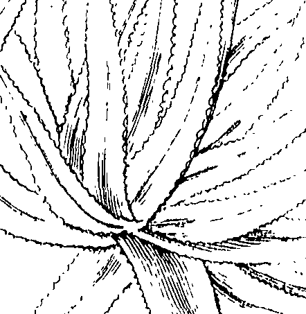 110/110220030301250_0.png