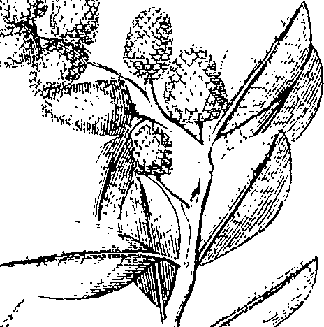 110/110220030301250_1.png