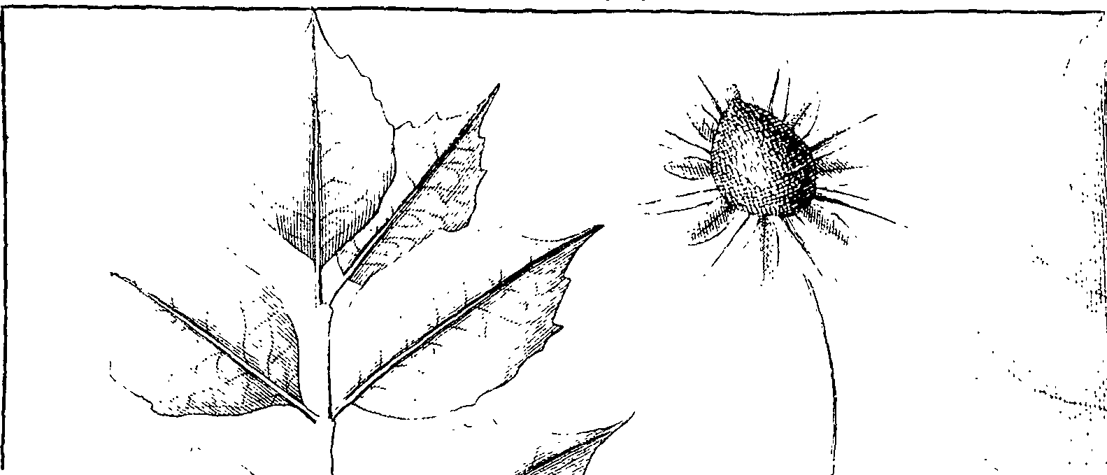 110/110220030301270_0.png