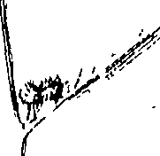 110/110220030301300_0.png