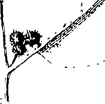 110/110220030301300_1.png