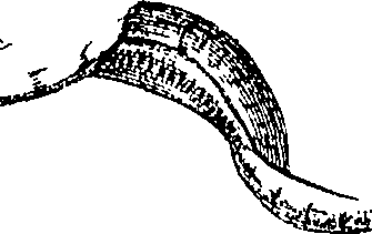 110/110220030301300_2.png