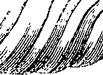 110/110220030301300_3.png