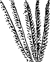 110/110220030301300_4.png