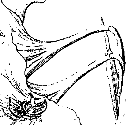 110/110220030301310_2.png