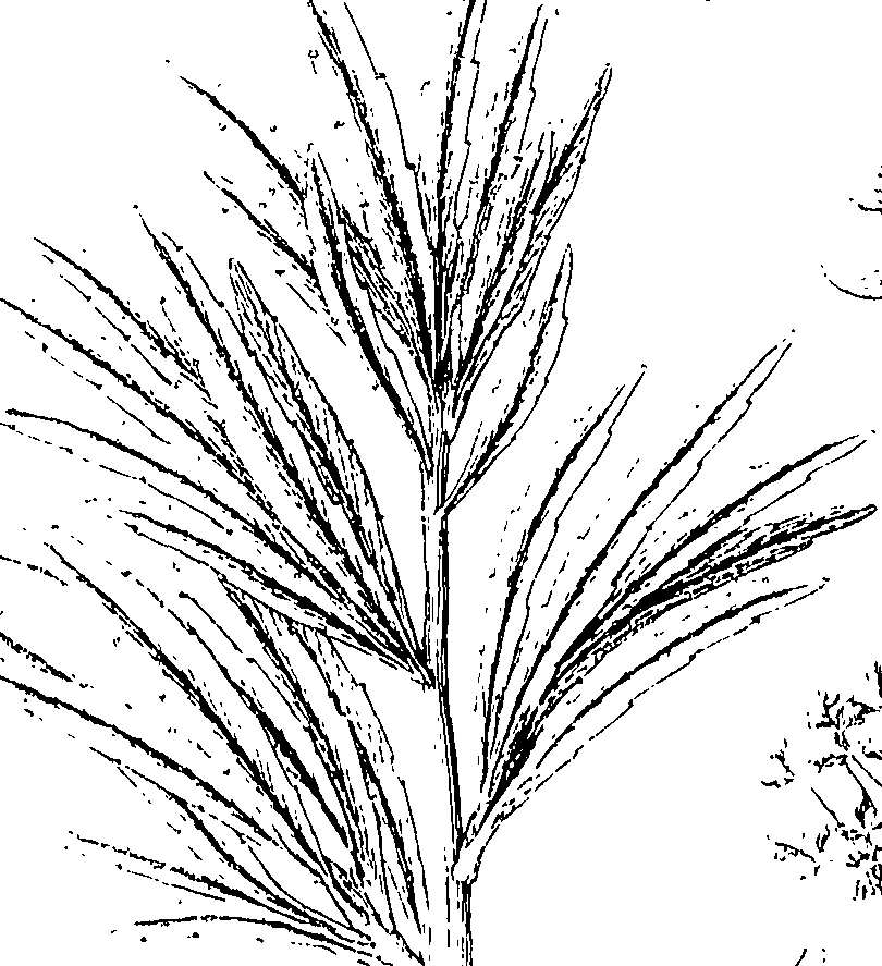 110/110220030301320_0.png