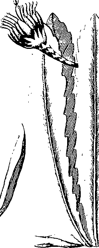 110/110220030301320_1.png