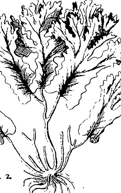 110/110220030301330_1.png