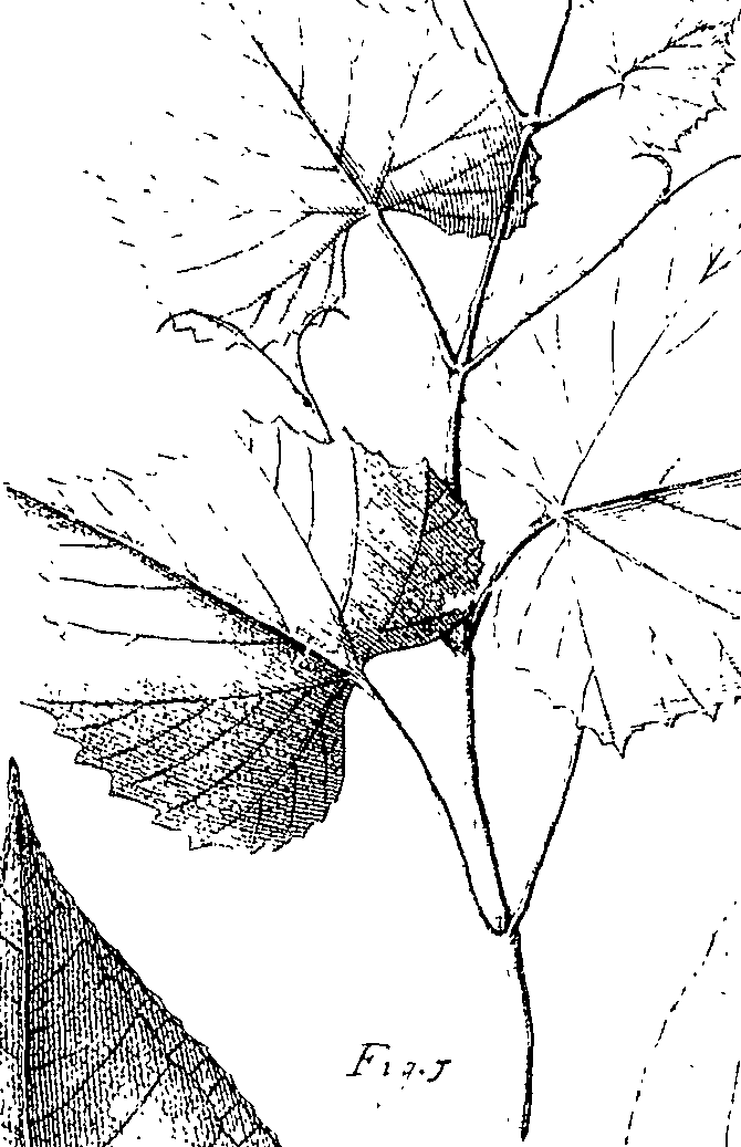110/110220030301340_0.png