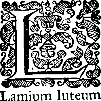 110/110220030402130_0.png