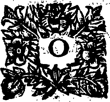 110/110220030402780_2.png