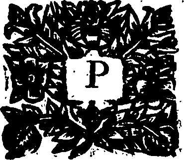 110/110220030402850_0.png