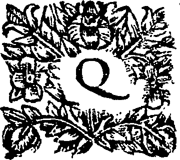 110/110220030403190_0.png