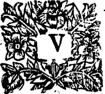 110/110220030403890_0.png
