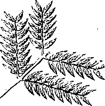 110/110220030502280_0.png