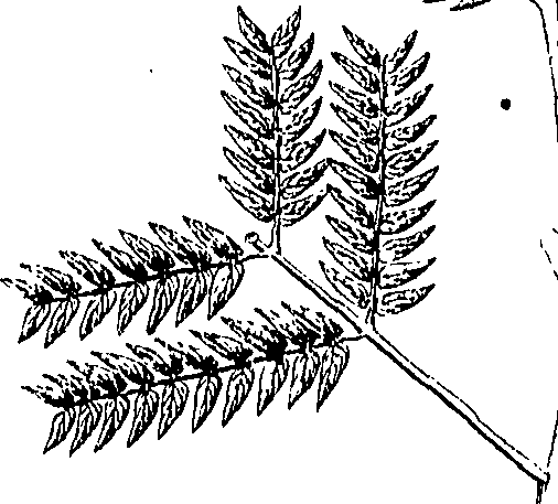 110/110220030502280_1.png