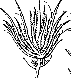 110/110220030502290_1.png