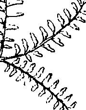 110/110220030502300_1.png
