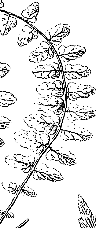 110/110220030502300_2.png