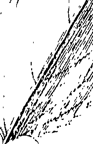 110/110220030502320_1.png