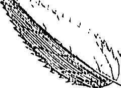 110/110220030502320_2.png