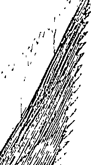 110/110220030502320_3.png