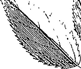 110/110220030502320_4.png