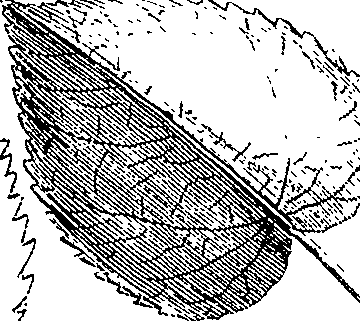 110/110220030502320_5.png