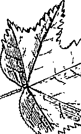 110/110220030502320_6.png
