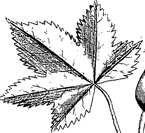 110/110220030502320_7.png
