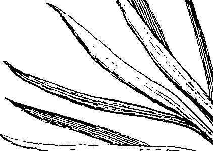 110/110220030502330_0.png